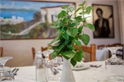 IMG_6036