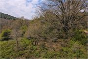 IMG_4644
