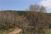 IMG_4649