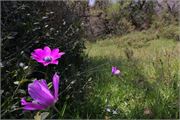 IMG_4653