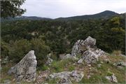 IMG_4671